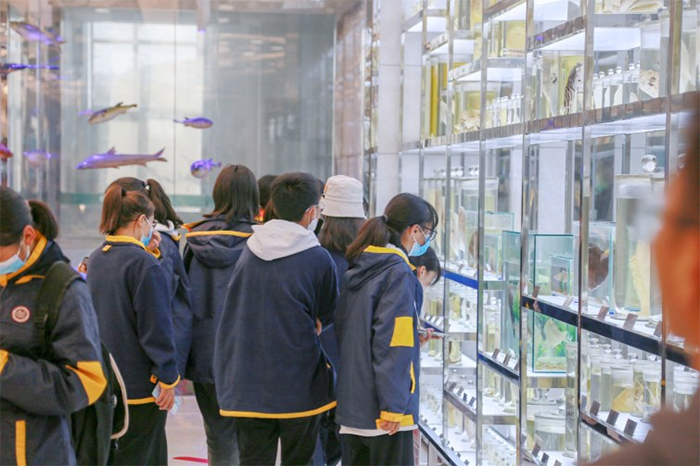 江海探秘，梦想启航 CQ9电子河豚庄园迎来今秋首批研学旅行中学生