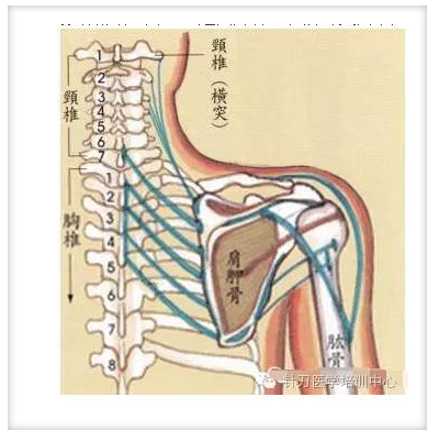 ​甘肃名中医王海东专家教授亲传弟子针刀班报名开始了！