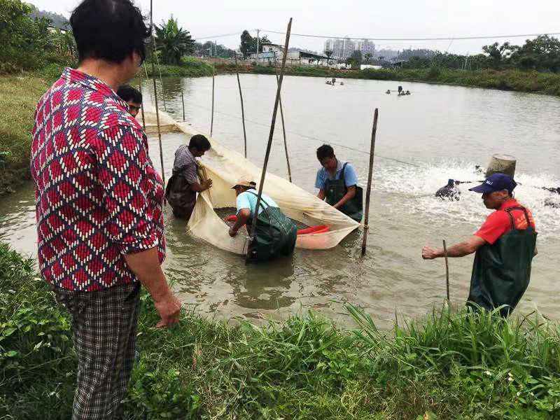 学员的养殖基地