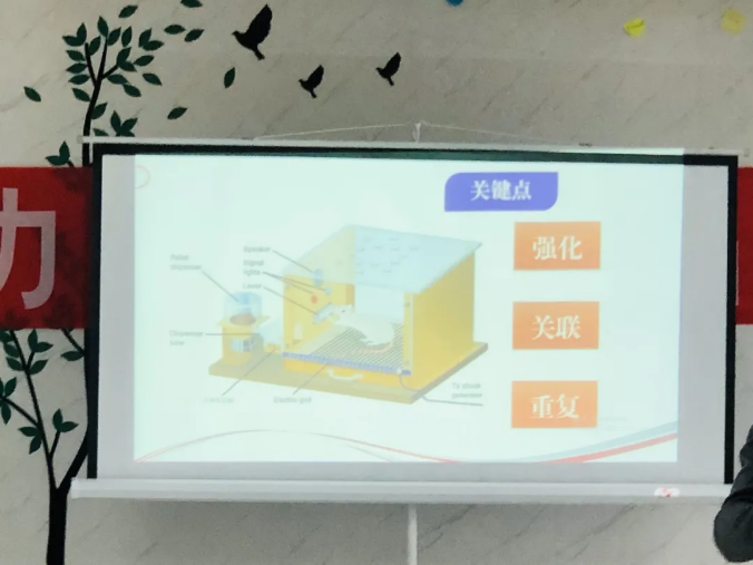 教育是首交響樂 學校是個能力場 教育是首交響樂 學校是個能力場