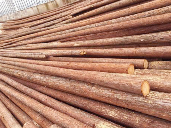 杉木杆厂家为您介绍如何挑选高质量的杉木