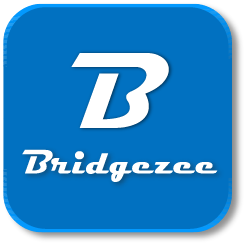 Bridgezee