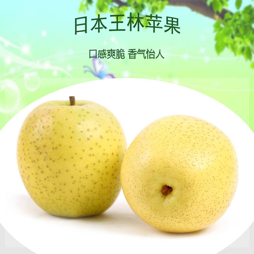 王林苹果 种苗 王林苹果 种苗