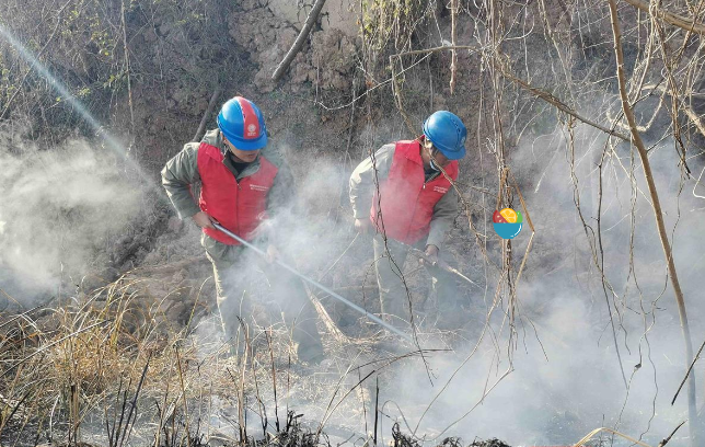 輸電線路防山火在線監測裝置，防火護線助巡檢