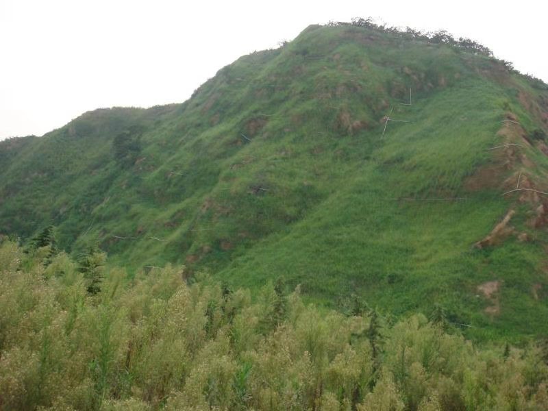 噴射植被混凝土護坡 噴射植被混凝土護坡