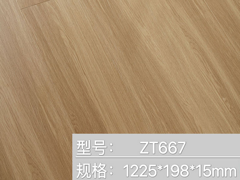 ZT-667木地板