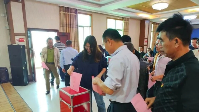 万宁市市场监督管理局直属机关党委召开党员代表大会