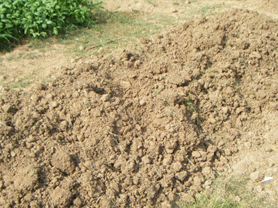 福州土壤底泥检测