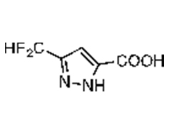 3-(difluoromethyl)-1H-pyrazole-5-carboxylic acid