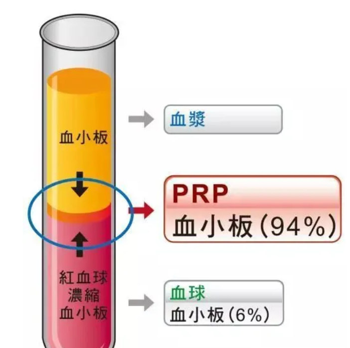 【北京●12月18日】PRP技术骨病及膝关节精细解剖与系统化培训班