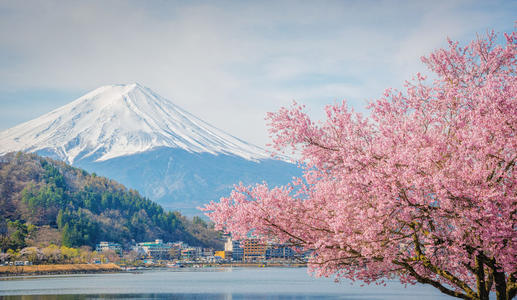 留学日本有哪几种形式