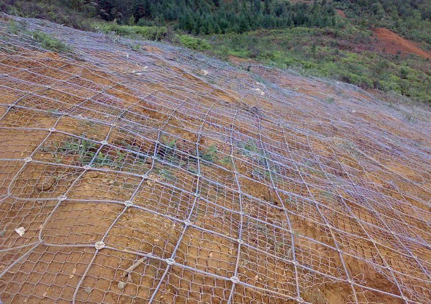 山体绿化网、边坡防护柔性网