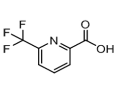 6-(trifluoromethyl)picolinic acid   6-三氟甲基吡啶-2-甲酸