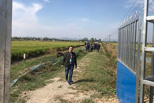 水稻種植中為什么要使用地膜