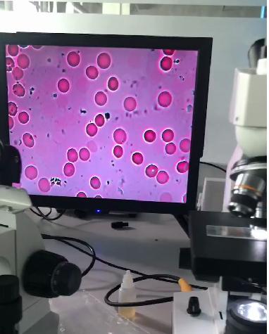 光学显微镜对观测细胞的帮助