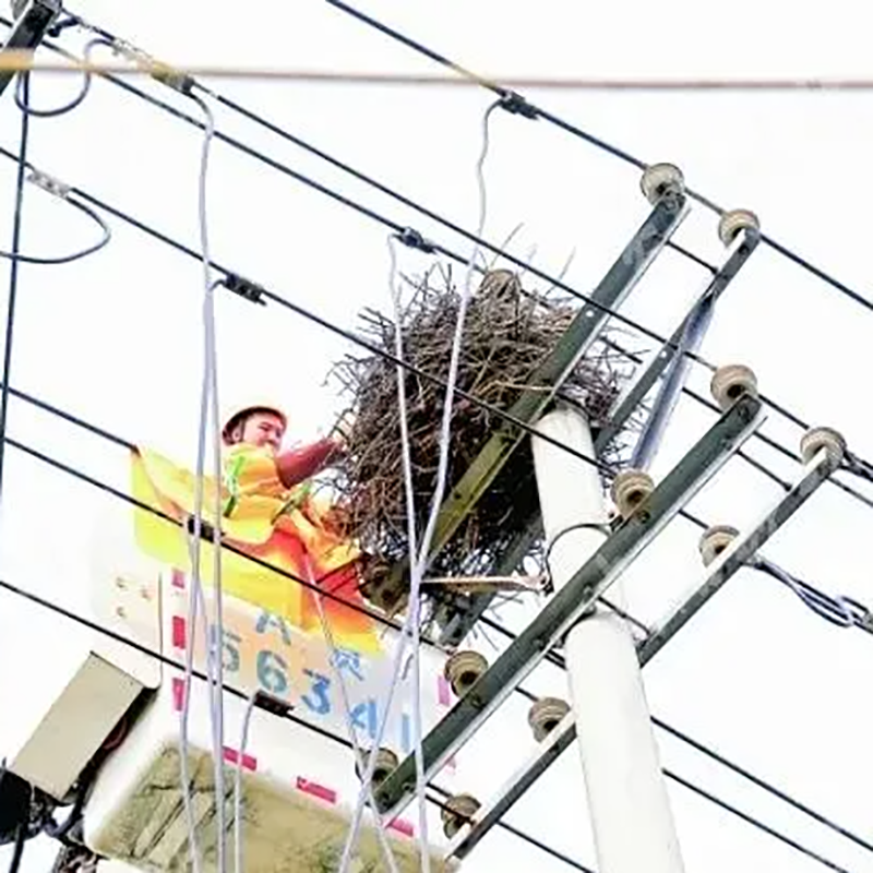 自動化智能激光電力機場驅(qū)鳥器  減輕鳥類對電網(wǎng)的威脅