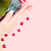 喜迎武家面大唐不夜城店，盛大开业！！！