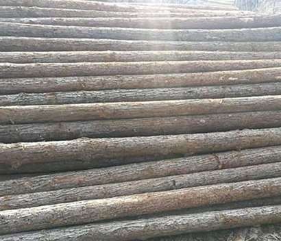 上海杉木桩的加工手段分析