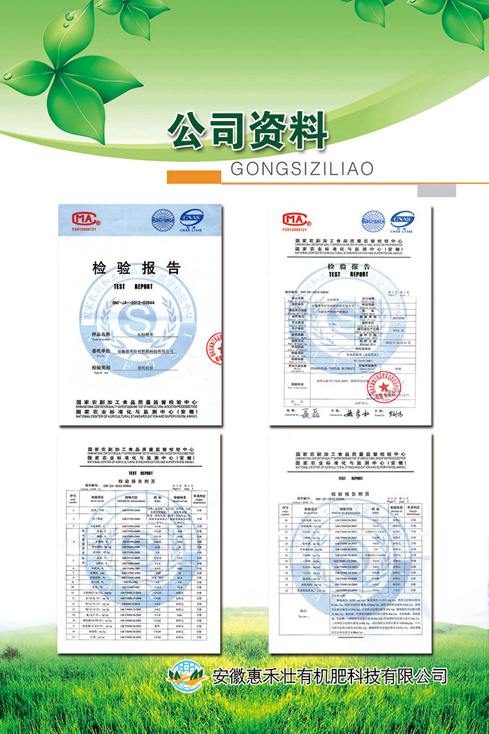 公司資料