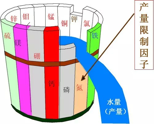 植物对养分的吸收特性