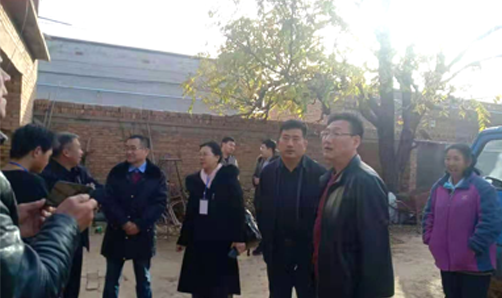 辛集市燃煤锅炉双代调查