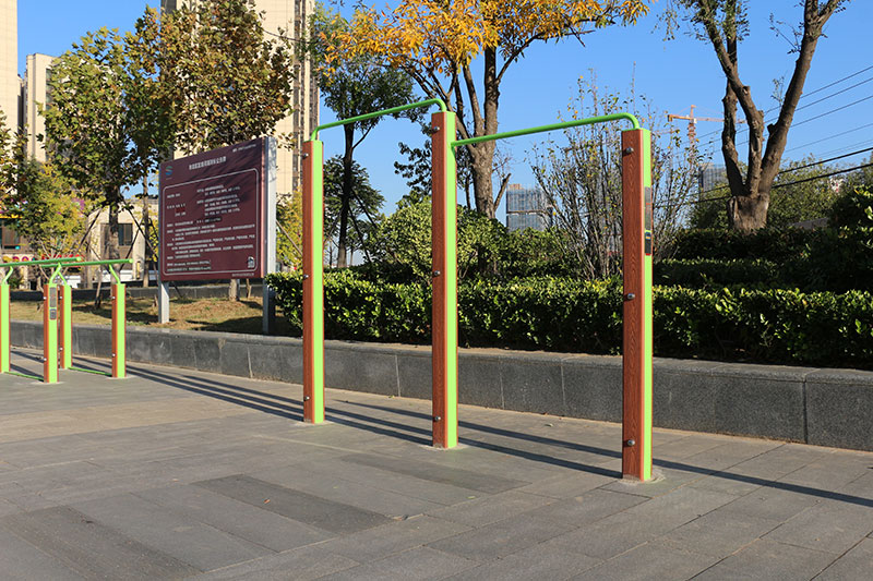 Double pull-up bar station
