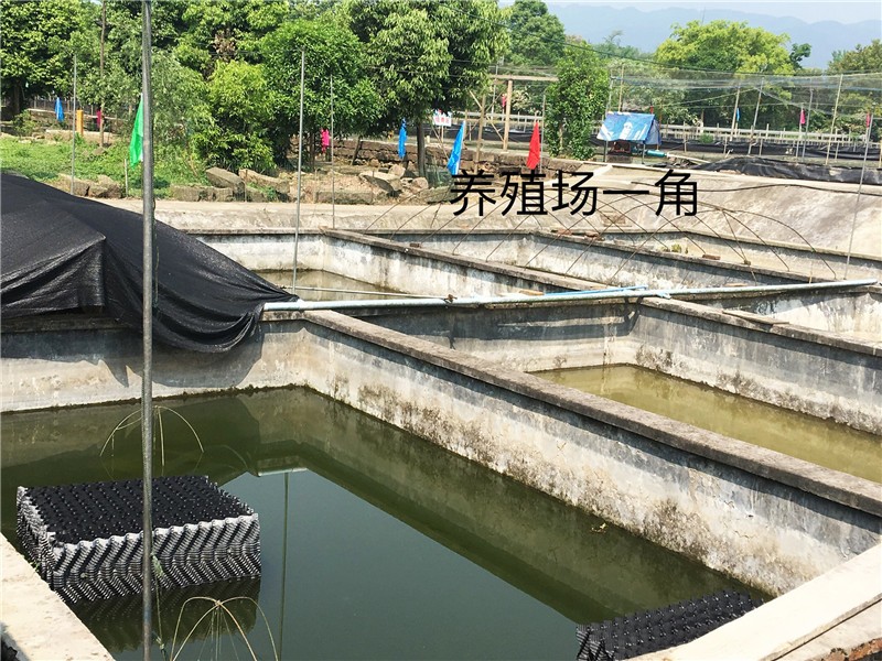 养殖基地