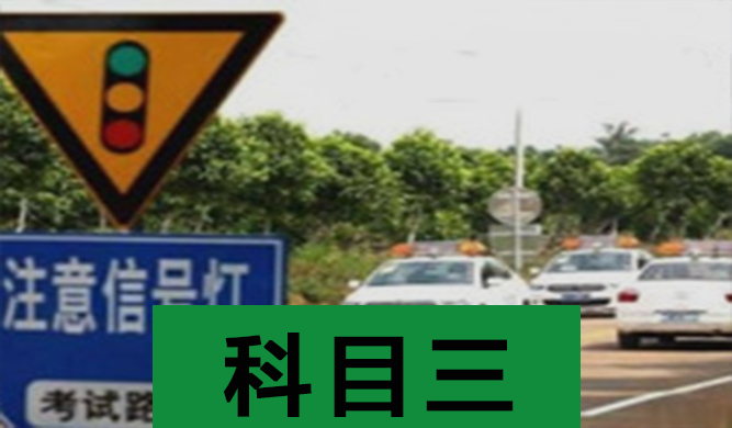 WT-LK型驾驶人实际道路驾驶技能（科目三）考试系统