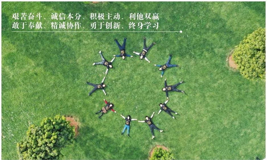 企业文化