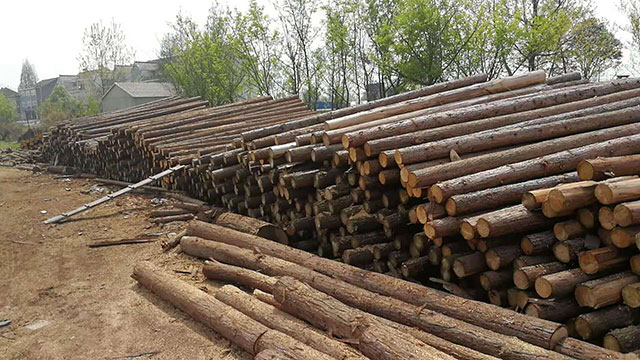 生态木桩价格