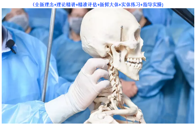 【5月16日—郑州市】第六届筋膜均衡调整与细致解剖学研修班