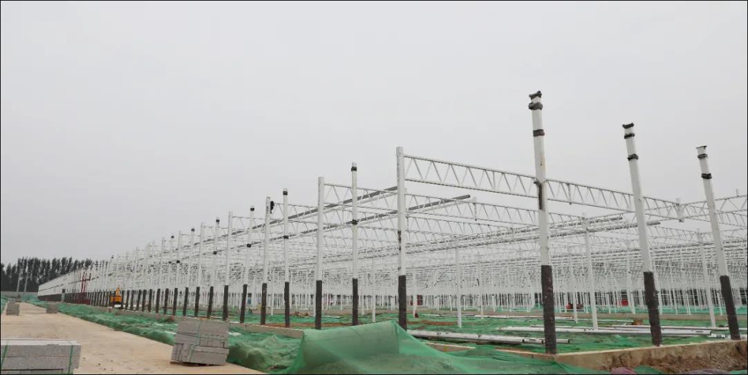 江蘇浙江地區常見三種塑料溫室大棚抗雪能力分析