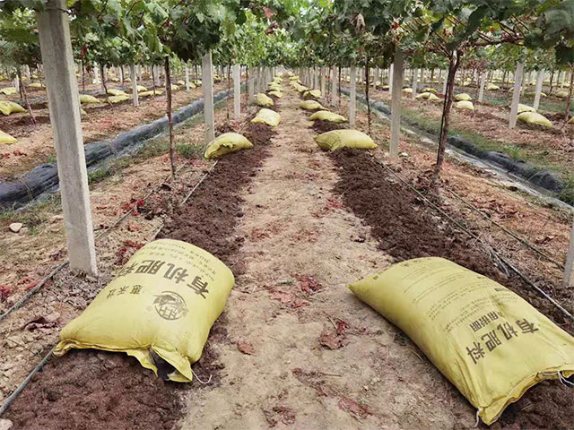 生物肥厂家为您介绍土壤恶化的危害性