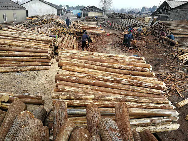 20公分杉木桩生产厂家