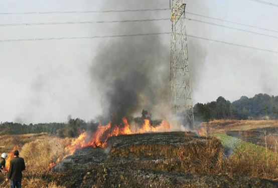 架空輸電線路山火監測裝置，讓線路山火險情不再是電網之殤