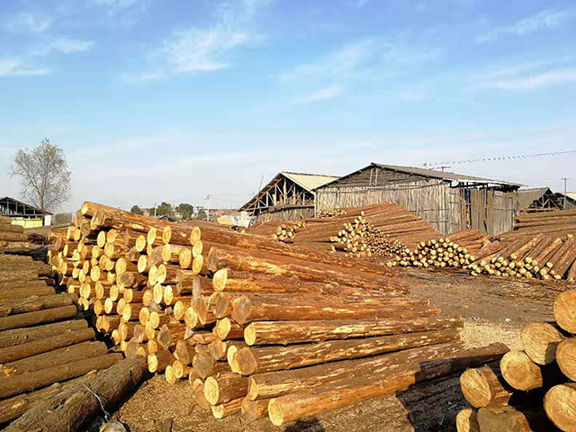 護坡木樁加工廠