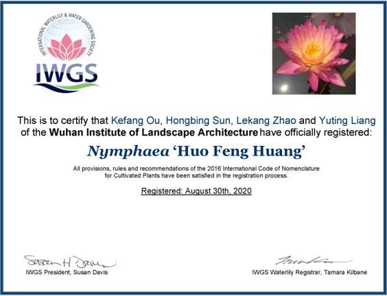 湖北省近20年内自主培育的睡莲新品种获得国际认证