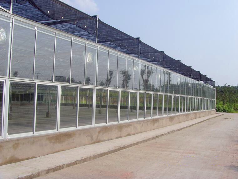 廣東省中山玻璃溫室