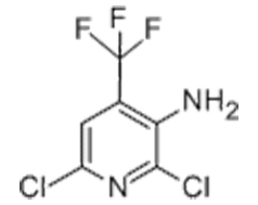 3-AMINO-2,6-DICHLORO-4-(TRIFLUOROMETHYL)PYRIDINE