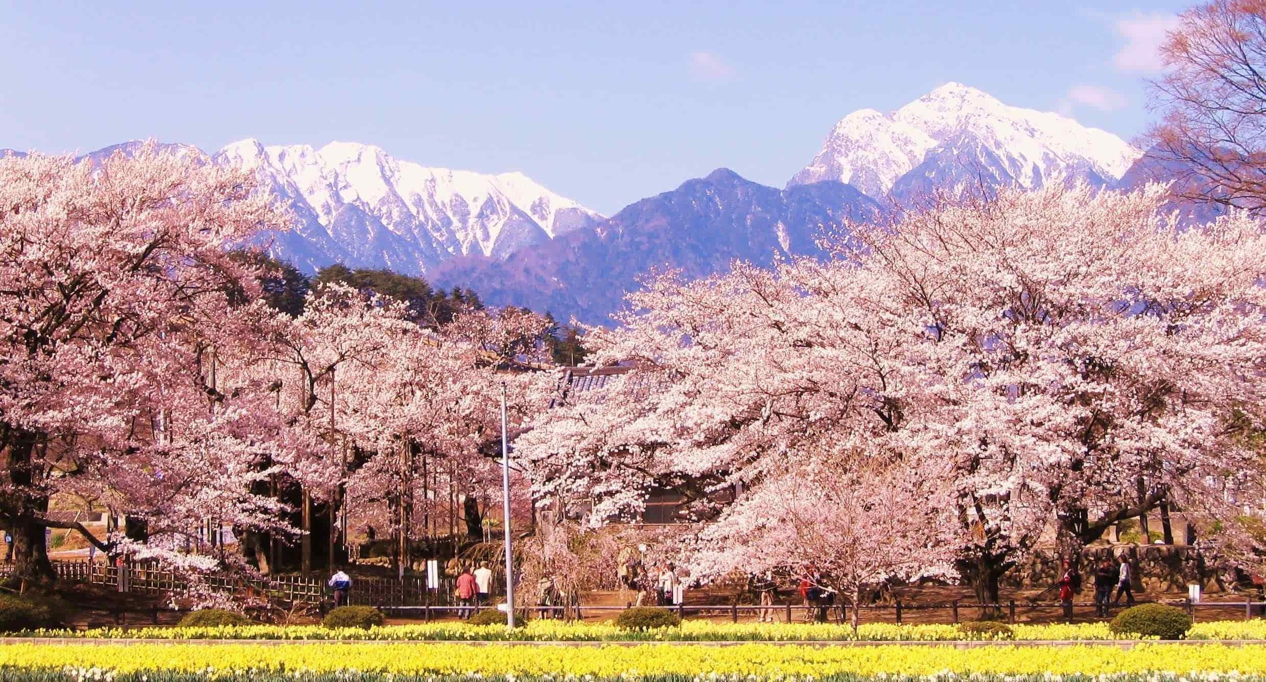 日本留学申请有哪些考试科目