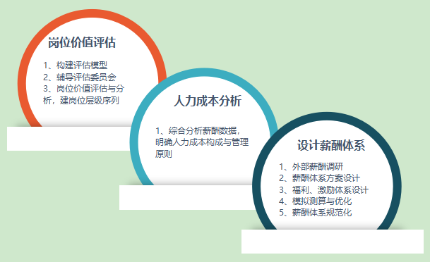 制造业某领域TOP企业薪酬体系优化案例
