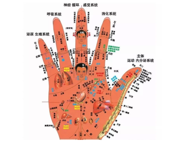 【4月6日郑州市】新中医望诊特色诊治暨新四诊（手诊术前面诊眼诊耳诊）产品精修班