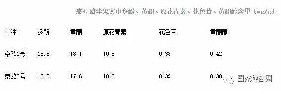 钙果种植管理技术及综合分析