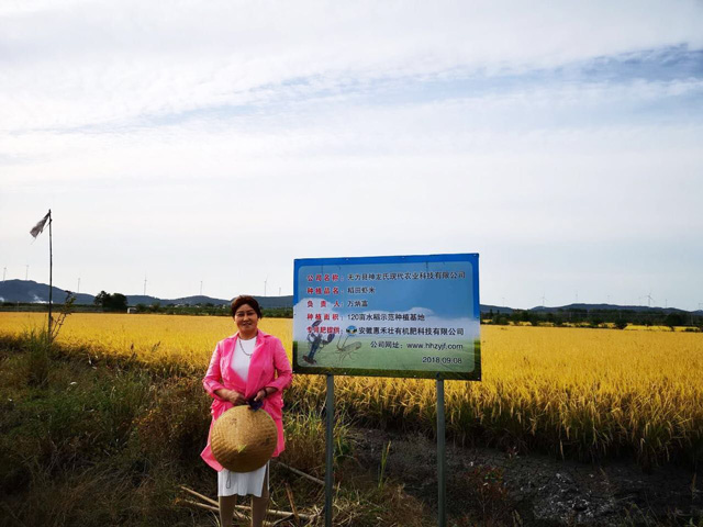 鹤壁120亩水稻示范种植基地