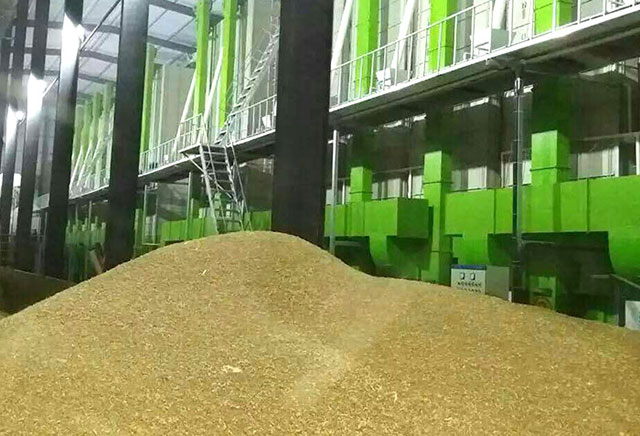 小麦干燥机