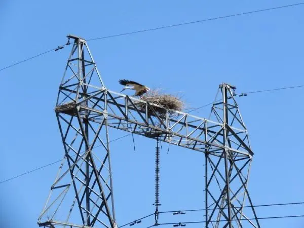 電力線路驅鳥器，治理鳥害“釘子戶”