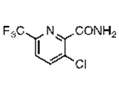 3-chloro-6-(trifluoromethyl)picolinamide