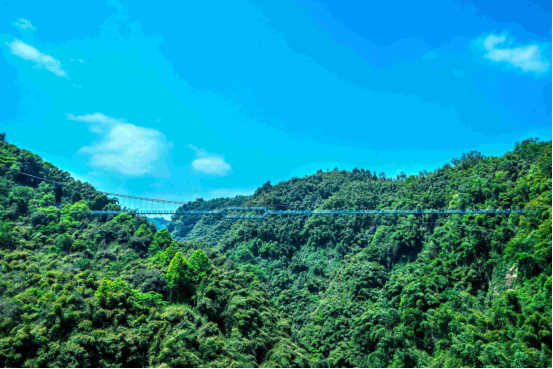 【岛岛的旅行日记】一路翠岭和幽溪，川西竹海等你来