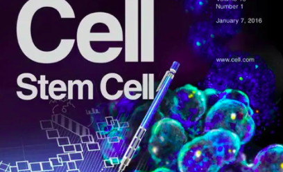 干细胞引导的再生医学前景光明