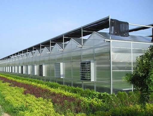 陽光板溫室大棚有什么優點？